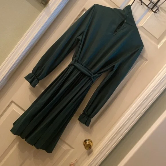 Elegant Green Long Sleeve Pleated Dress - Picture 8 of 12